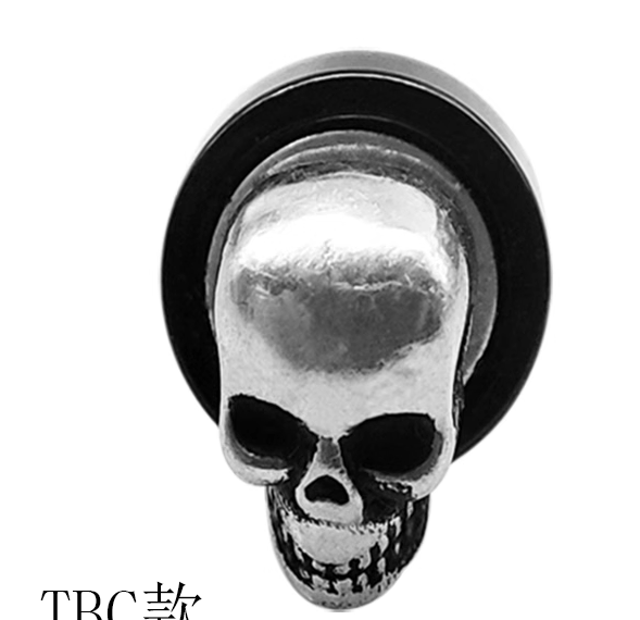 [MAGNETIC] CH Ear Rings