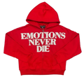 Mixed Emotions Rhinestone Hoodie End