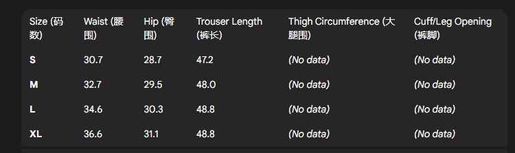 Balenciaga Rave Pant