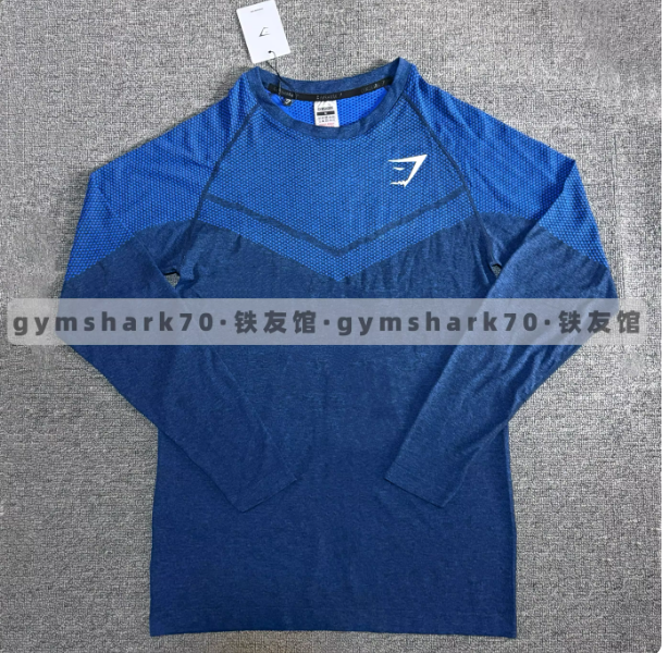 Gymshark Long Sleeve Compression Tshirt