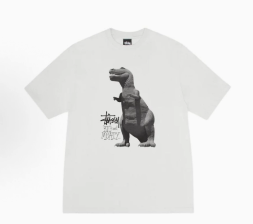 Stussy Tshirt Collection