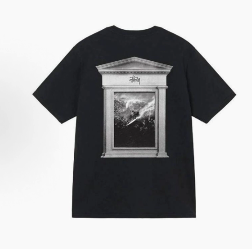 Stussy Tshirt Collection