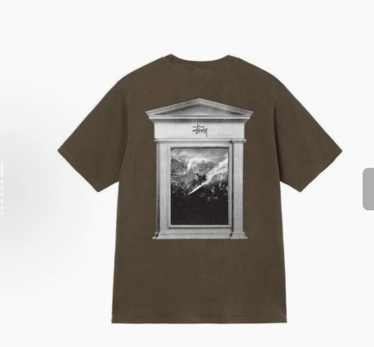 Stussy Tshirt Collection