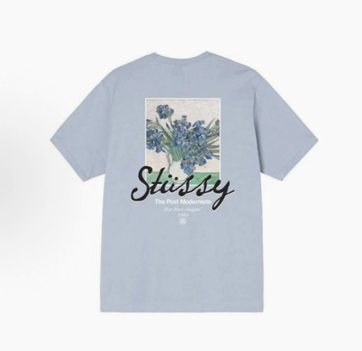 Stussy Tshirt Collection