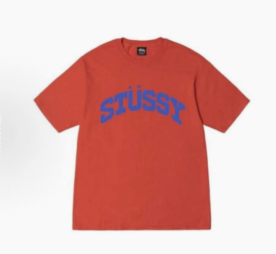 Stussy Tshirt Collection