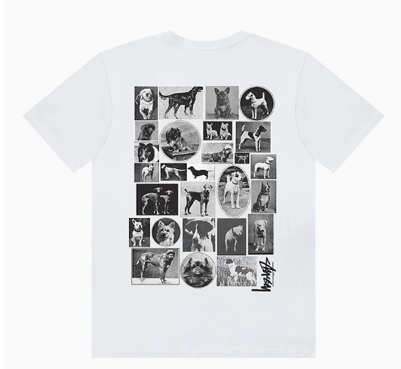 Stussy Tshirt Collection