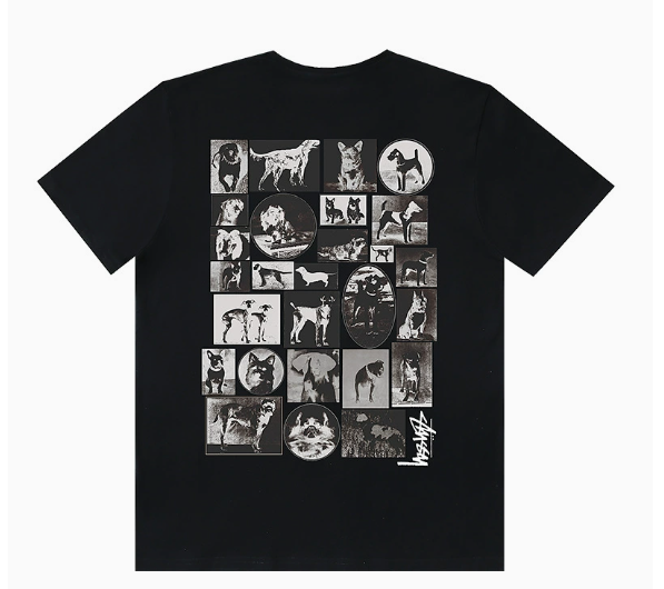 Stussy Tshirt Collection