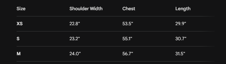 Acne Studios Denim Jacket