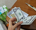 Maison Margiela Dollar Bill Wallet